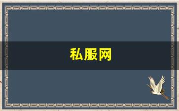 私服网(手游私sf平台) (8)