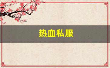 热血私服(sf热血) (3)