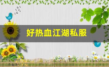 热血手游变态公益服发布网：好热血江湖私服 (15)