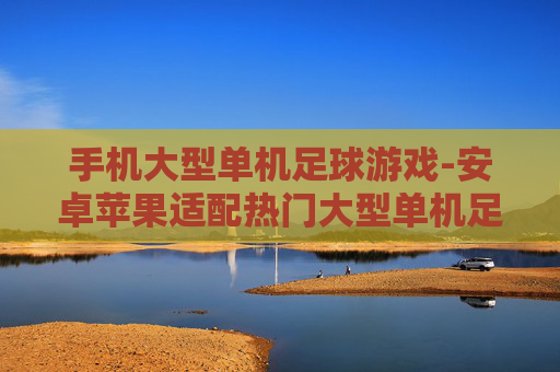 手机大型单机足球游戏-安卓苹果适配热门大型单机足球游戏