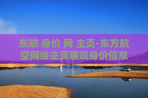 东航 身价 网 主页-东方航空网络主页展现身价信息