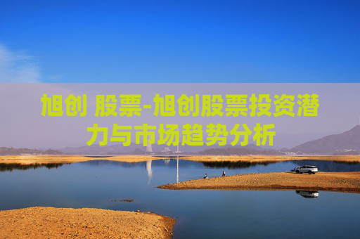 旭创 股票-旭创股票投资潜力与市场趋势分析