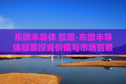 东微半导体 股票-东微半导体股票投资价值与市场前景分析