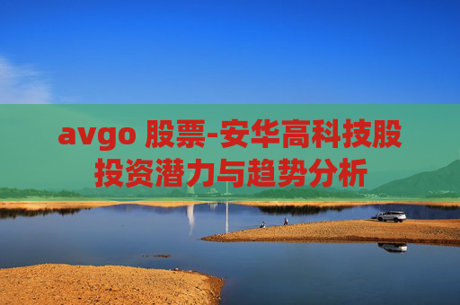 avgo 股票-安华高科技股投资潜力与趋势分析