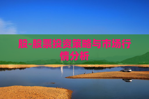 股-股票投资策略与市场行情分析