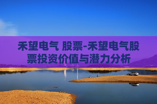 禾望电气 股票-禾望电气股票投资价值与潜力分析