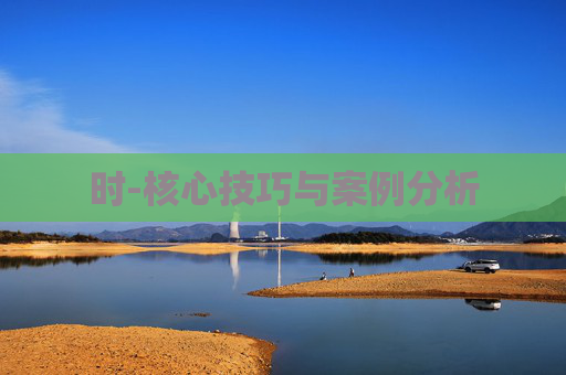 时-核心技巧与案例分析