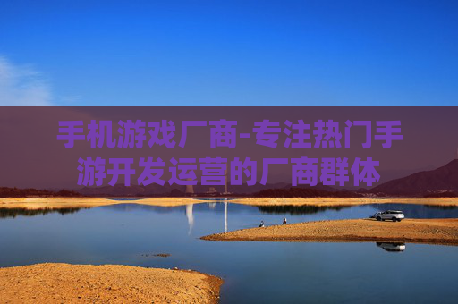 手机游戏厂商-专注热门手游开发运营的厂商群体