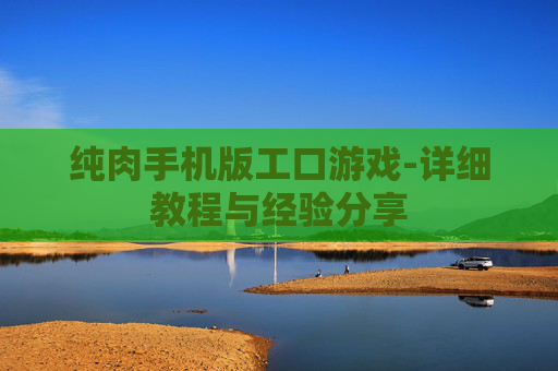 纯肉手机版工口游戏-详细教程与经验分享