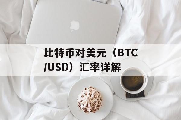 比特币对美元（BTC/USD）汇率详解