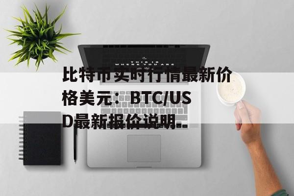 比特币实时行情最新价格美元：BTC/USD最新报价说明