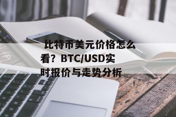  比特币美元价格怎么看？BTC/USD实时报价与走势分析